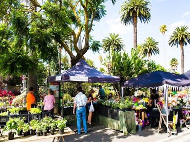 Napier Urban Farmers' Market